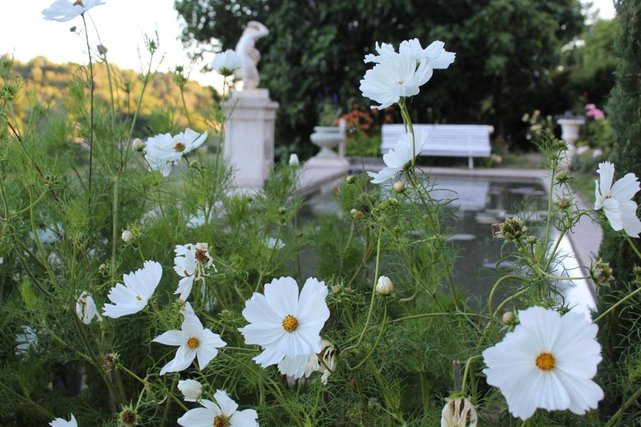 Chateau Du Grand Jardin Valensole Exterior foto