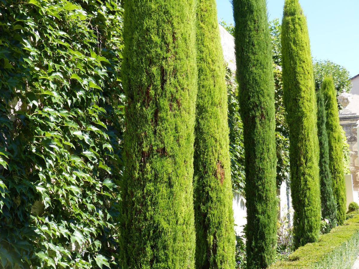 Chateau Du Grand Jardin Valensole Exterior foto